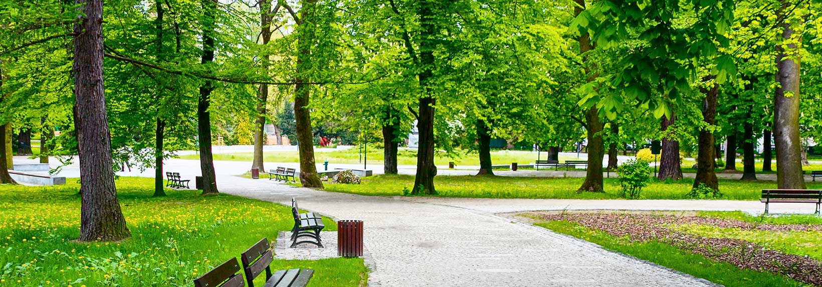 Public park with paths and benches