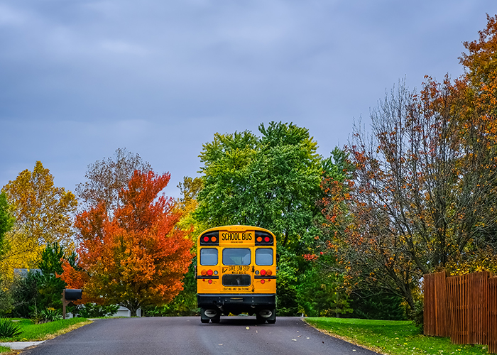 photo of a school bus driving away down a suburban road surrounded by fall trees